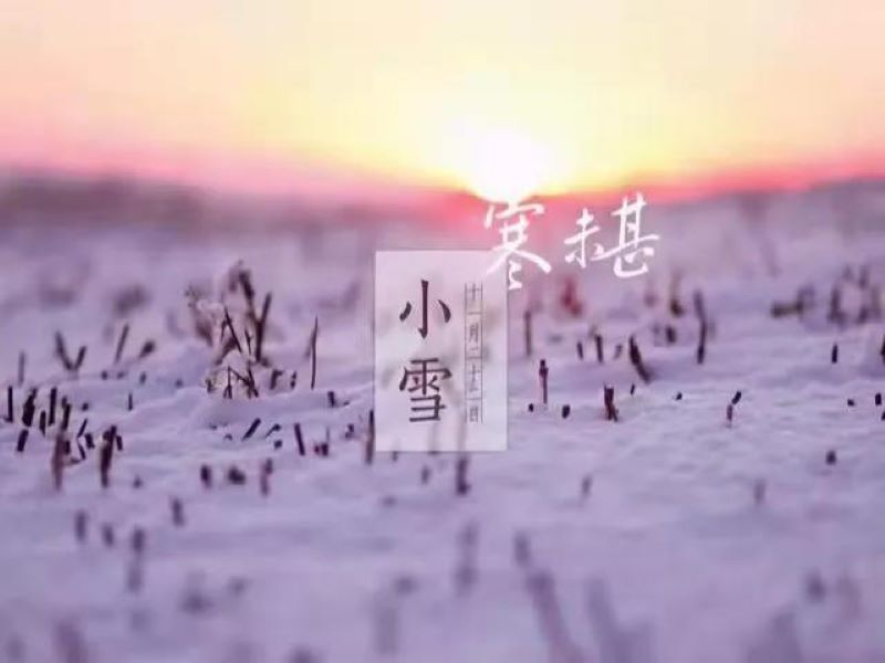 小雪丨小雪气寒而将雪矣，地寒未甚而雪未大也