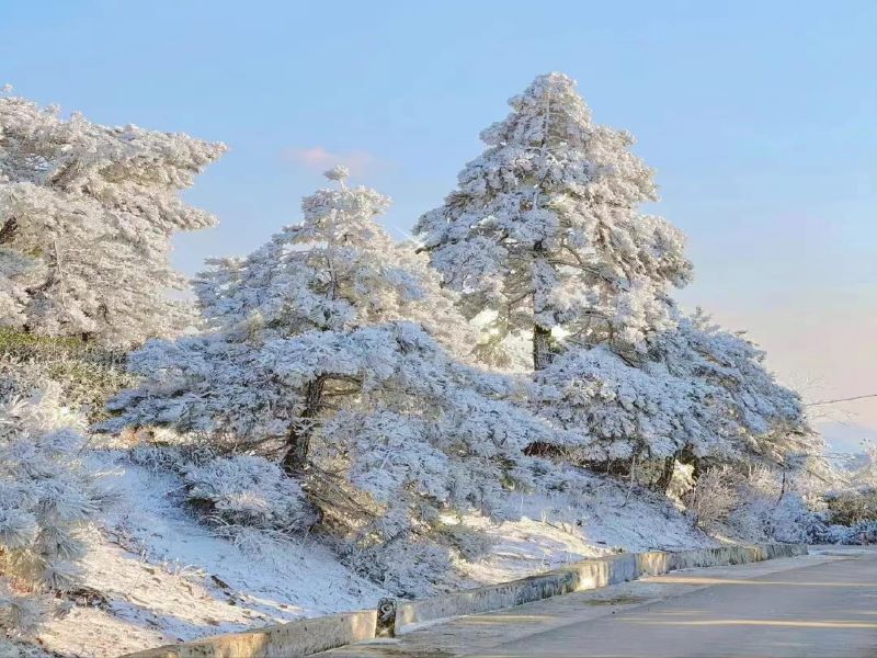 小雪丨小雪气寒而将雪矣，地寒未甚而雪未大也