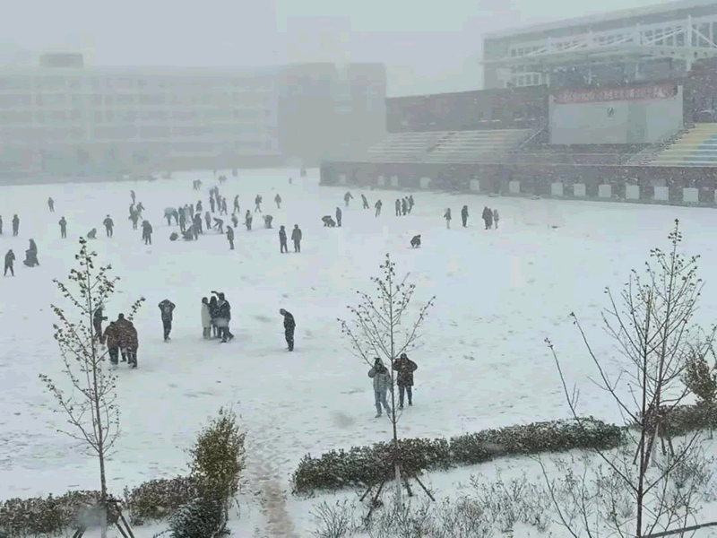 我和初雪有个约定