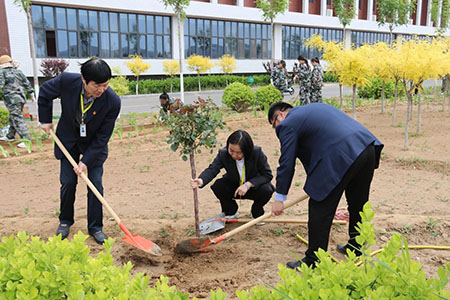 曹妃甸校区又添新绿 ——十万株花苗落户太阳集团tcy8722