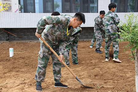 曹妃甸校区又添新绿 ——十万株花苗落户太阳集团tcy8722