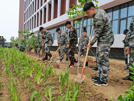 曹妃甸校区又添新绿 ——十万株花苗落户太阳集团tcy8722