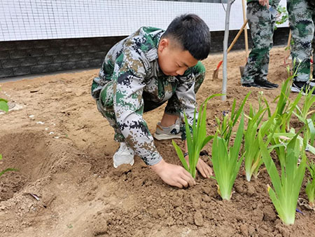 曹妃甸校区又添新绿 ——十万株花苗落户太阳集团tcy8722