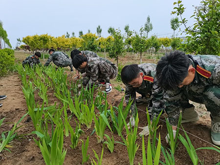 曹妃甸校区又添新绿 ——十万株花苗落户太阳集团tcy8722