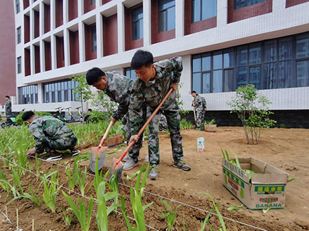 曹妃甸校区又添新绿 ——十万株花苗落户太阳集团tcy8722