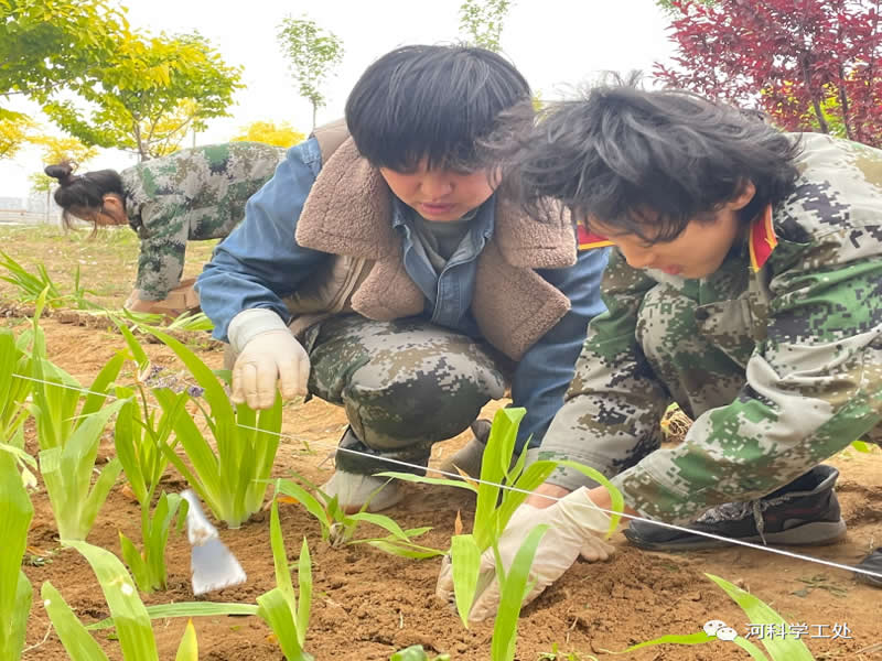 太阳集团tcy8722学管干部全面开展绿化校园劳动教育实践活动