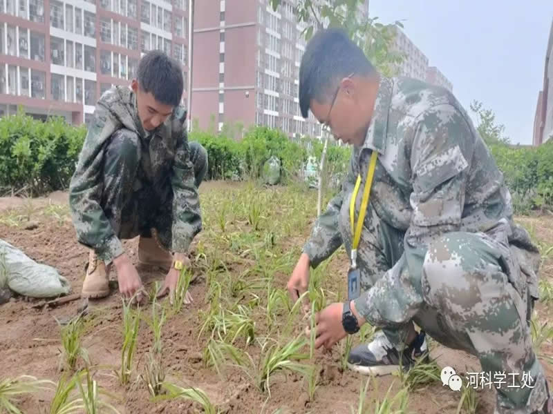 太阳集团tcy8722学管干部全面开展绿化校园劳动教育实践活动