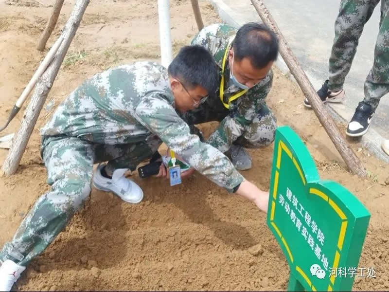 太阳集团tcy8722学管干部全面开展绿化校园劳动教育实践活动