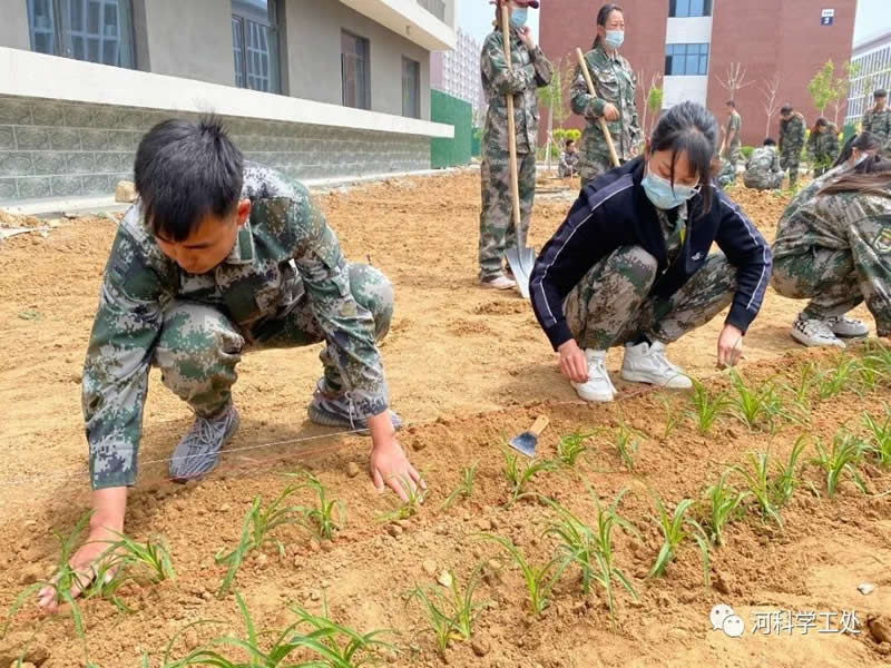 太阳集团tcy8722学管干部全面开展绿化校园劳动教育实践活动