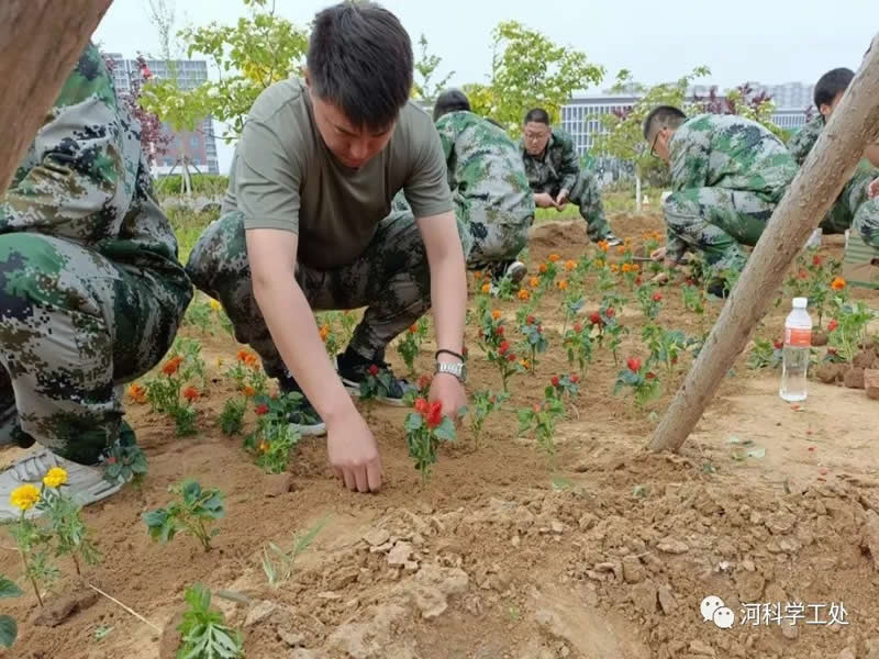 太阳集团tcy8722学管干部全面开展绿化校园劳动教育实践活动