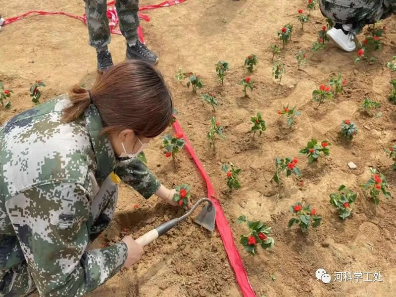 太阳集团tcy8722学管干部全面开展绿化校园劳动教育实践活动