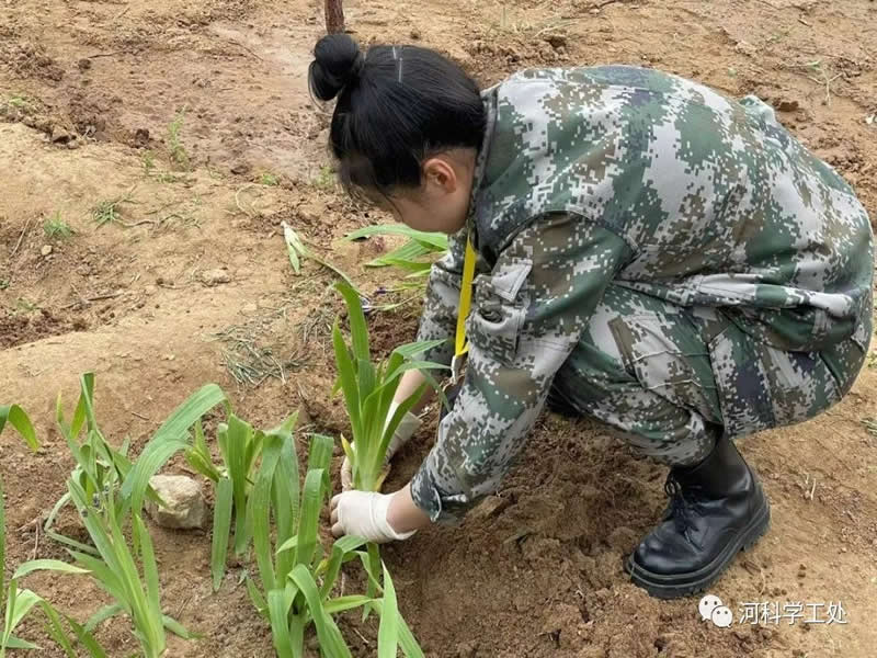 太阳集团tcy8722学管干部全面开展绿化校园劳动教育实践活动