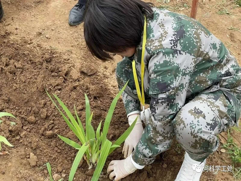 太阳集团tcy8722学管干部全面开展绿化校园劳动教育实践活动