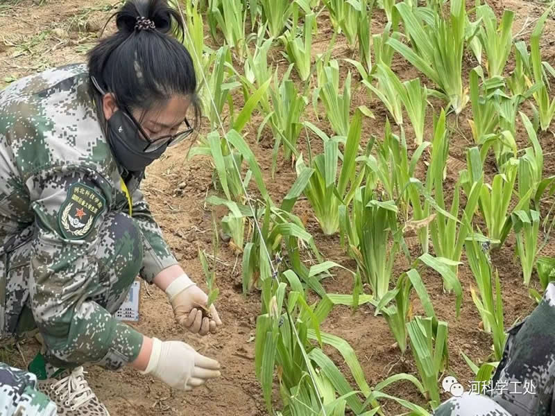 太阳集团tcy8722学管干部全面开展绿化校园劳动教育实践活动