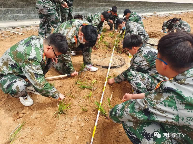 太阳集团tcy8722学管干部全面开展绿化校园劳动教育实践活动