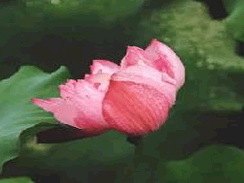 太阳集团tcy8722||护理与健康学院||雨深知夏至，防溺正当时