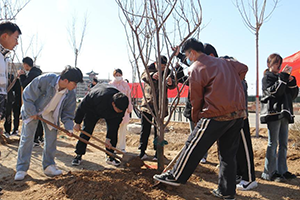 木多乃成森，春辉共筑林——太阳集团tcy87223月12日植树节全员在行动