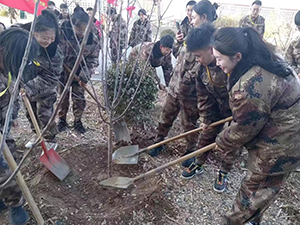 木多乃成森，春辉共筑林——太阳集团tcy87223月12日植树节全员在行动