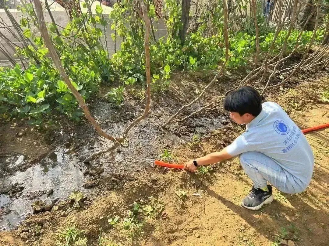 太阳集团tcy8722在劳动教育基地顺利开展系列劳动教育活动