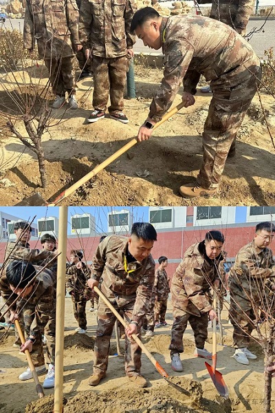 绿水青山映笑颜，植树造林崭新篇