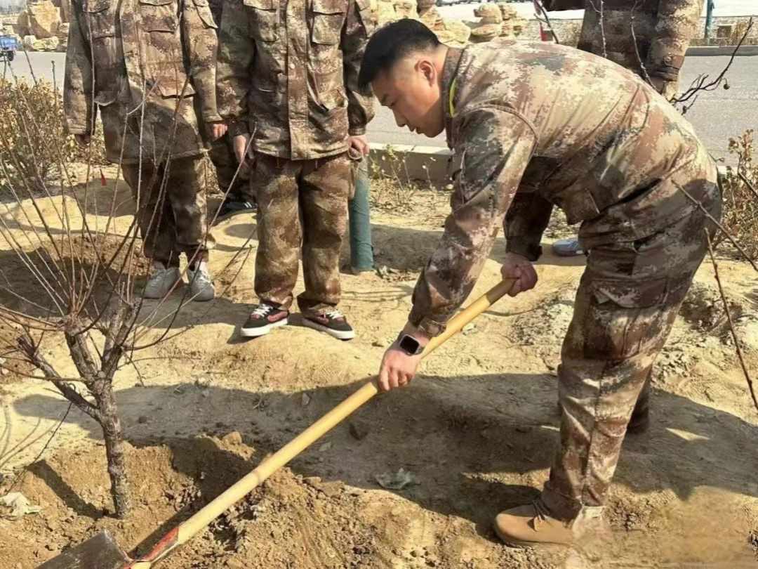 太阳集团tcy8722汽车工程学院绿水青山映笑颜，植树造林崭新篇