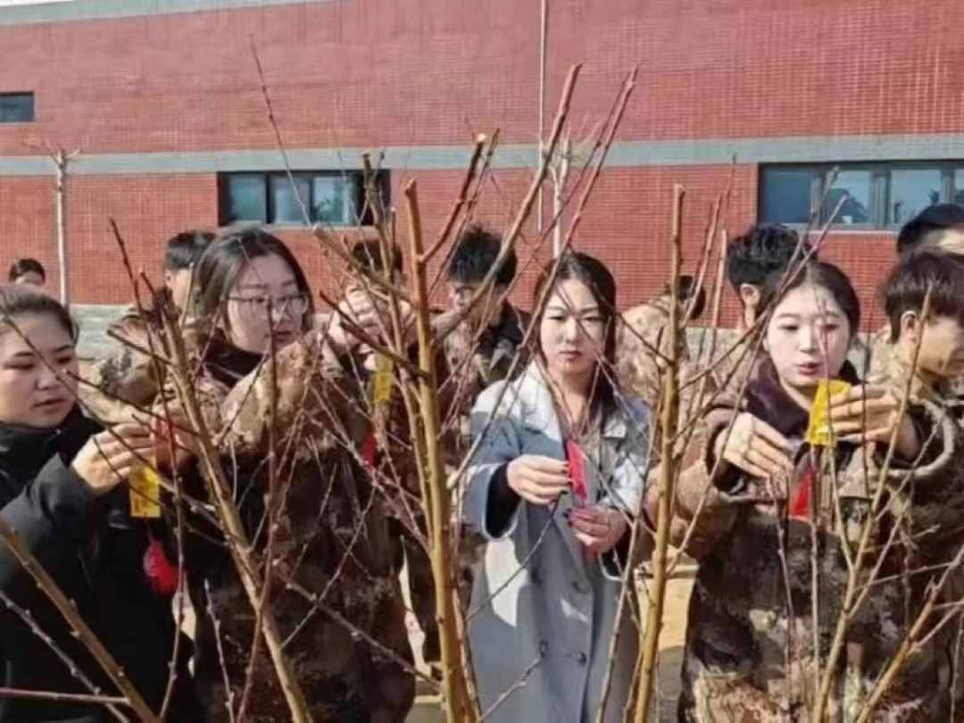 太阳集团tcy8722汽车工程学院绿水青山映笑颜，植树造林崭新篇